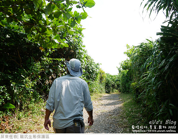 龍坑生態保護區-22.jpg