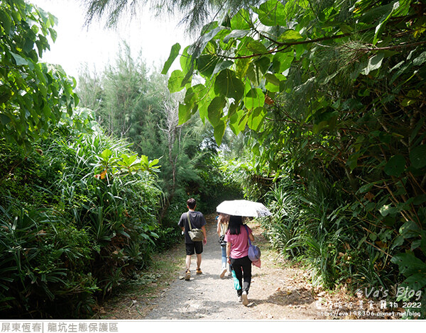 龍坑生態保護區-74.jpg