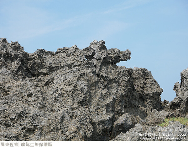 龍坑生態保護區-54.jpg