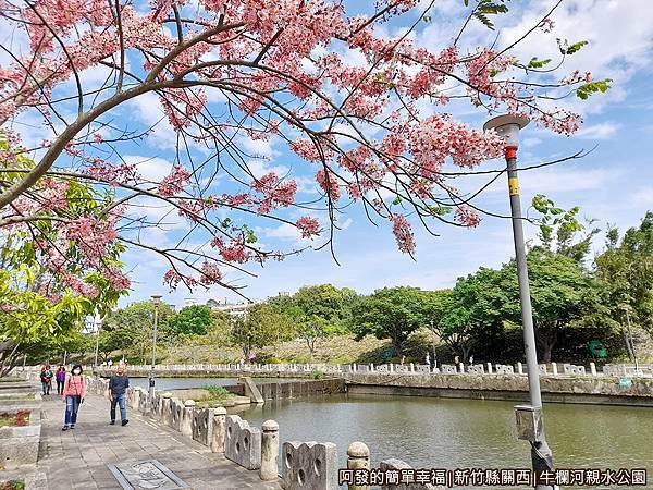 牛欄河親水公園16-美麗又療癒.jpg