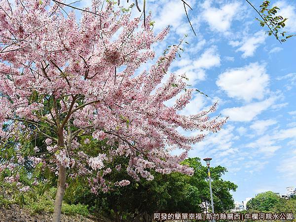 牛欄河親水公園11-十分美麗.JPG