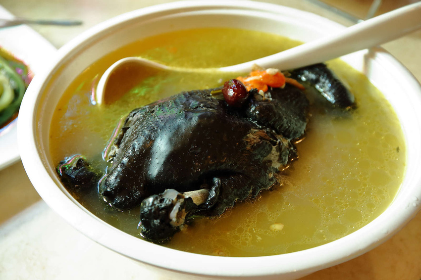 【食。彰化】童年往事莊園民宿〜彰化主題餐廳。懷舊復古餐廳帶我們一同「穿越」回到50年代！(寵物友善民宿+餐廳)