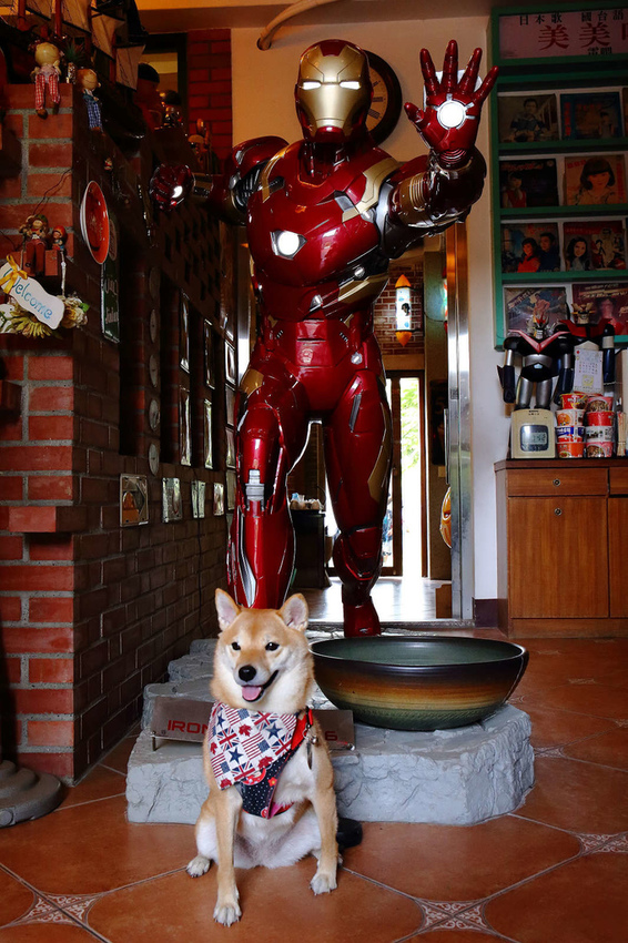 【食。彰化】童年往事莊園民宿〜彰化主題餐廳。懷舊復古餐廳帶我們一同「穿越」回到50年代！(寵物友善民宿+餐廳)
