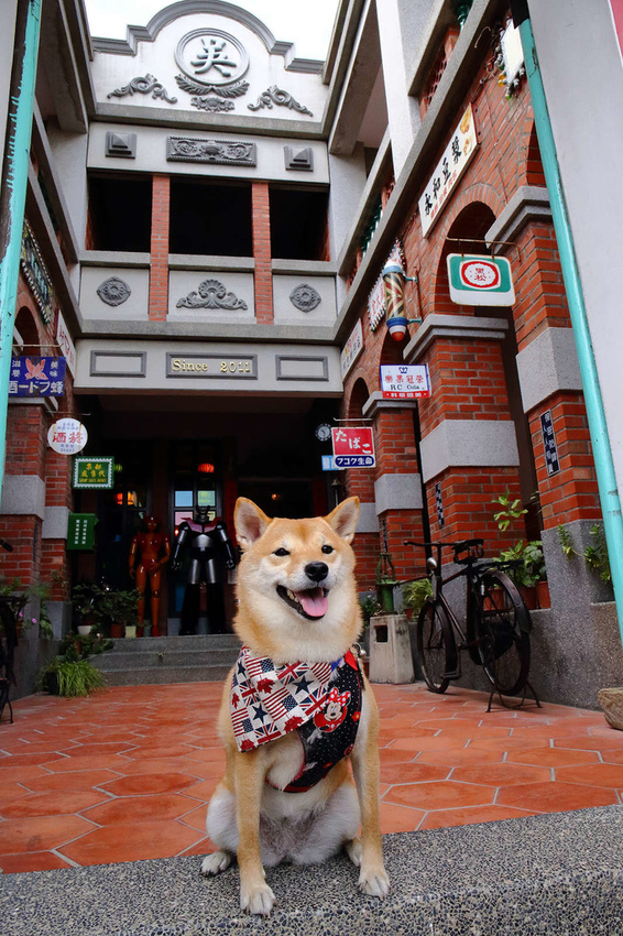 【食。彰化】童年往事莊園民宿〜彰化主題餐廳。懷舊復古餐廳帶我們一同「穿越」回到50年代！(寵物友善民宿+餐廳)