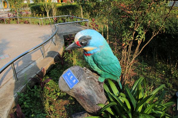 猴探井遊憩區:【南投市景點】猴探井遊憩區~139縣道微笑天梯,藍白地中海小木屋冰沙好喝又消暑,造型大水管通道玩創意,尖塔寮望台登高望遠好舒心