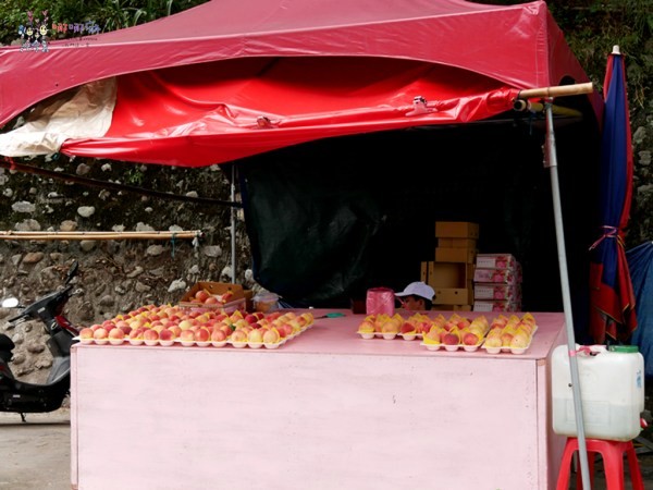 桃園美食,桃園旅遊,親子旅遊,拉拉山,水蜜桃,白桃冰,拉拉山巨木群