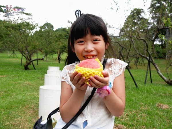 桃園美食,桃園旅遊,親子旅遊,拉拉山,水蜜桃,白桃冰,拉拉山巨木群
