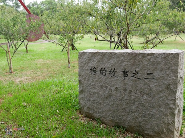 桃園美食,桃園旅遊,親子旅遊,拉拉山,水蜜桃,白桃冰,拉拉山巨木群
