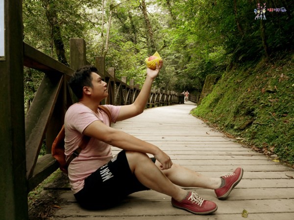 桃園美食,桃園旅遊,親子旅遊,拉拉山,水蜜桃,白桃冰,拉拉山巨木群