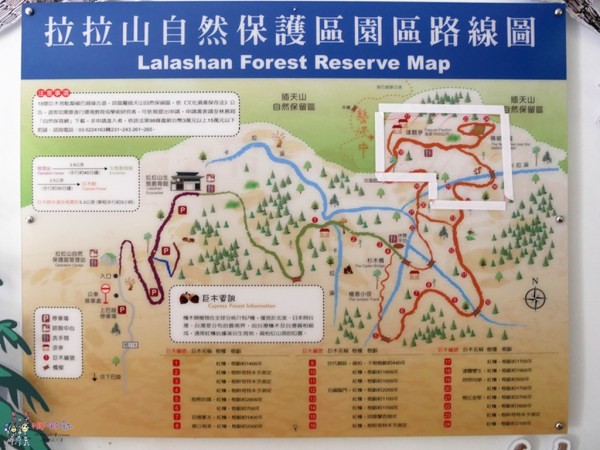 桃園美食,桃園旅遊,親子旅遊,拉拉山,水蜜桃,白桃冰,拉拉山巨木群