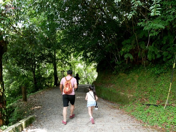 桃園美食,桃園旅遊,親子旅遊,拉拉山,水蜜桃,白桃冰,拉拉山巨木群