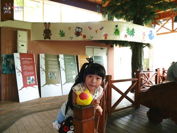 桃園美食,桃園旅遊,親子旅遊,拉拉山,水蜜桃,白桃冰,拉拉山巨木群