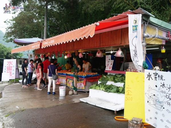 桃園美食,桃園旅遊,親子旅遊,拉拉山,水蜜桃,白桃冰,拉拉山巨木群