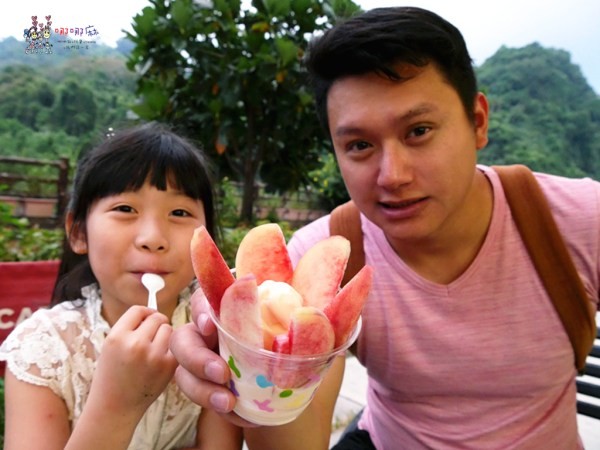 桃園美食,桃園旅遊,親子旅遊,拉拉山,水蜜桃,白桃冰,拉拉山巨木群