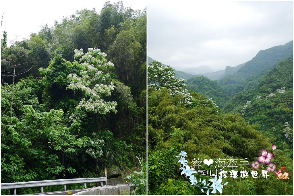【桃園復興】誤會!不是關島的教堂ღ諾亞方舟船型教堂-加拉教堂