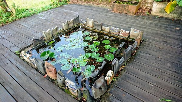 48407550_2186848424680168_3032104060363735040_n