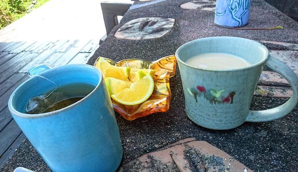 48389627_2187624381269239_4540891784724611072_n