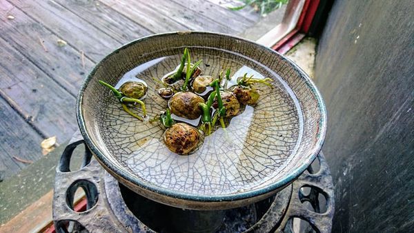 48420003_2186849344680076_6274195836402401280_n