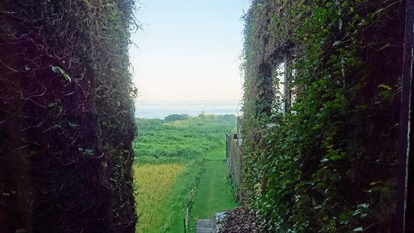 48380618_2186831994681811_3230027968818446336_n