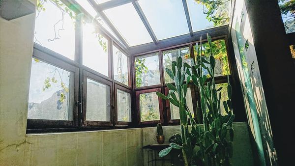 48391717_2186528264712184_6643185749636153344_n