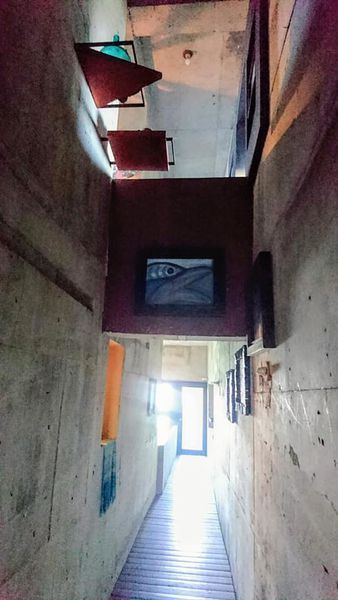 48377351_2186848541346823_7188162115327229952_n