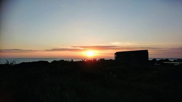 48426900_2187398941291783_2812246634396647424_n