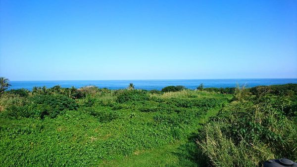 48378359_2186528044712206_7055547578359742464_n