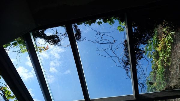 48380797_2187583817939962_975917707541086208_n