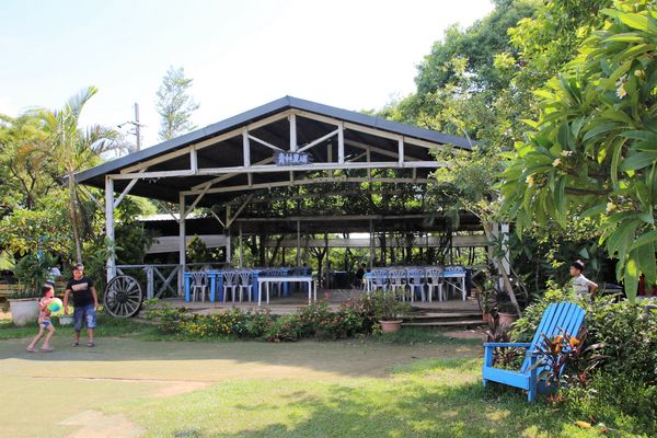 青林農場：【桃園觀音景點】青林農場~南洋風味主題餐廳，乾燥花工坊DIY，搭火車，烤肉，餵兔子，50元門票可全額折抵消費