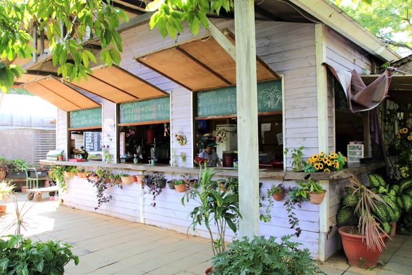 青林農場：【桃園觀音景點】青林農場~南洋風味主題餐廳，乾燥花工坊DIY，搭火車，烤肉，餵兔子，50元門票可全額折抵消費