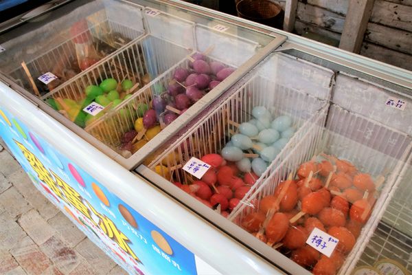 青林農場：【桃園觀音景點】青林農場~南洋風味主題餐廳，乾燥花工坊DIY，搭火車，烤肉，餵兔子，50元門票可全額折抵消費