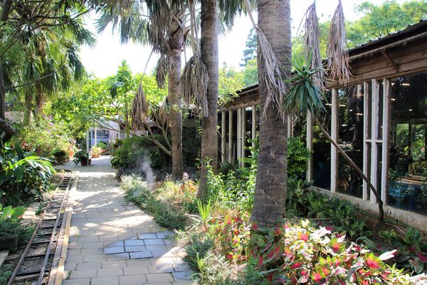 青林農場：【桃園觀音景點】青林農場~南洋風味主題餐廳，乾燥花工坊DIY，搭火車，烤肉，餵兔子，50元門票可全額折抵消費