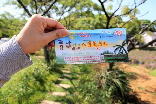 青林農場：【桃園觀音景點】青林農場~南洋風味主題餐廳，乾燥花工坊DIY，搭火車，烤肉，餵兔子，50元門票可全額折抵消費