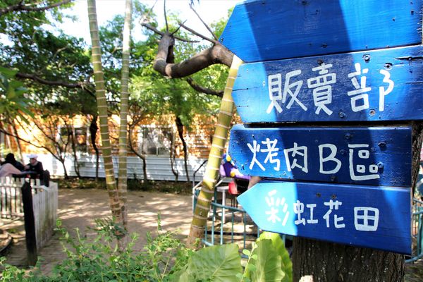 青林農場：【桃園觀音景點】青林農場~南洋風味主題餐廳，乾燥花工坊DIY，搭火車，烤肉，餵兔子，50元門票可全額折抵消費