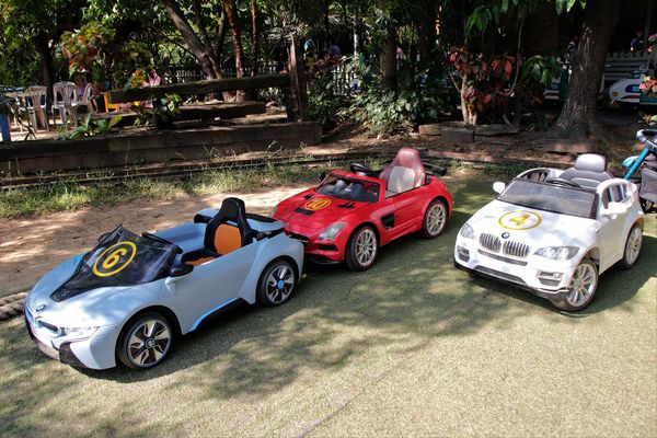 青林農場：【桃園觀音景點】青林農場~南洋風味主題餐廳，乾燥花工坊DIY，搭火車，烤肉，餵兔子，50元門票可全額折抵消費