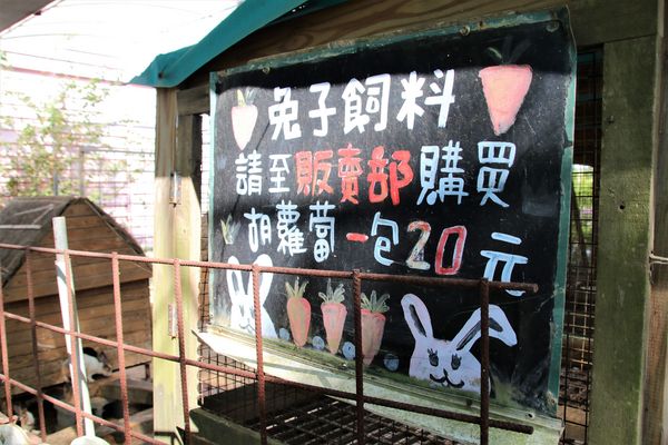 青林農場：【桃園觀音景點】青林農場~南洋風味主題餐廳，乾燥花工坊DIY，搭火車，烤肉，餵兔子，50元門票可全額折抵消費