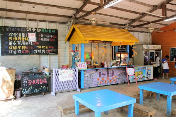 青林農場：【桃園觀音景點】青林農場~南洋風味主題餐廳，乾燥花工坊DIY，搭火車，烤肉，餵兔子，50元門票可全額折抵消費