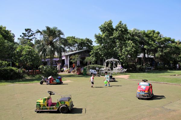 青林農場：【桃園觀音景點】青林農場~南洋風味主題餐廳，乾燥花工坊DIY，搭火車，烤肉，餵兔子，50元門票可全額折抵消費