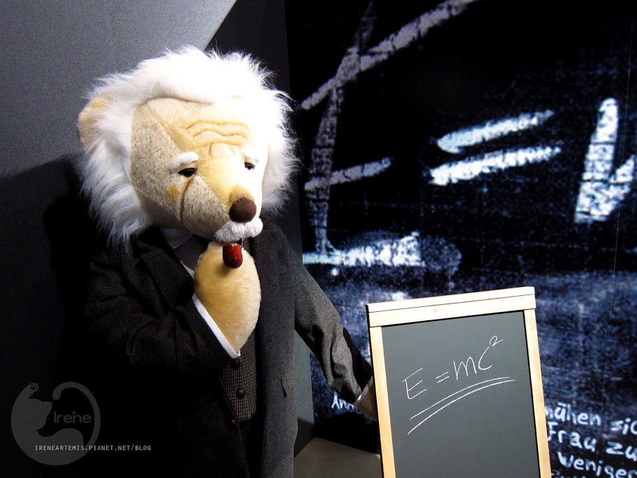 【台北。展覽】韓國濟州泰迪熊特展 @不用出國也能看見超療癒泰迪熊