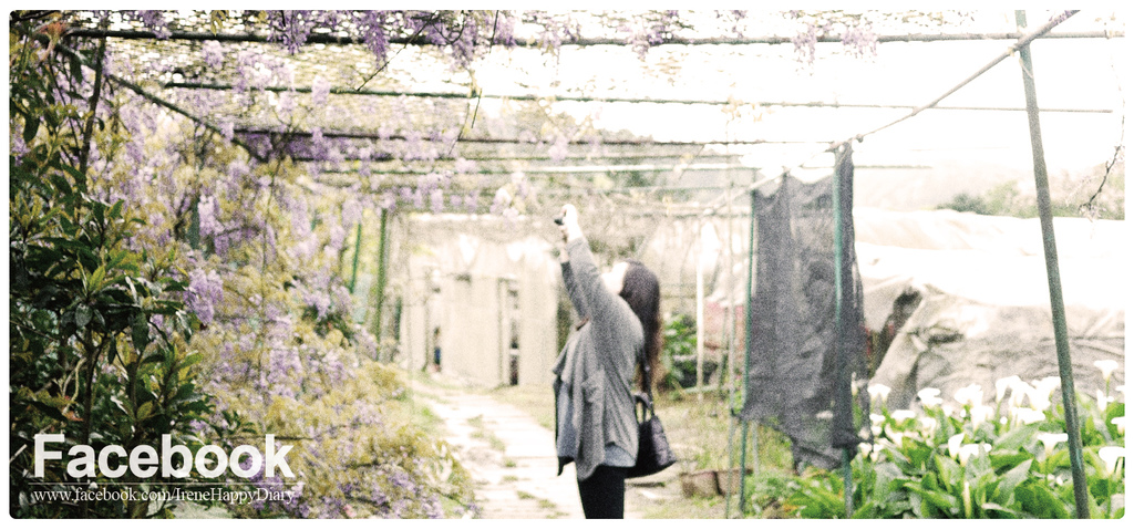 Facebook Link BANNER-01 Facebook Link BANNER-01