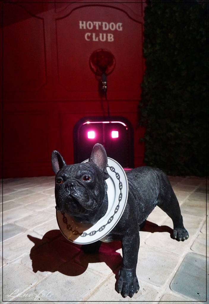 batch_DSC07921.JPG batch_DSC07921.JPG