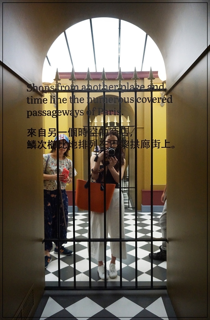 batch_DSC08003.JPG batch_DSC08003.JPG