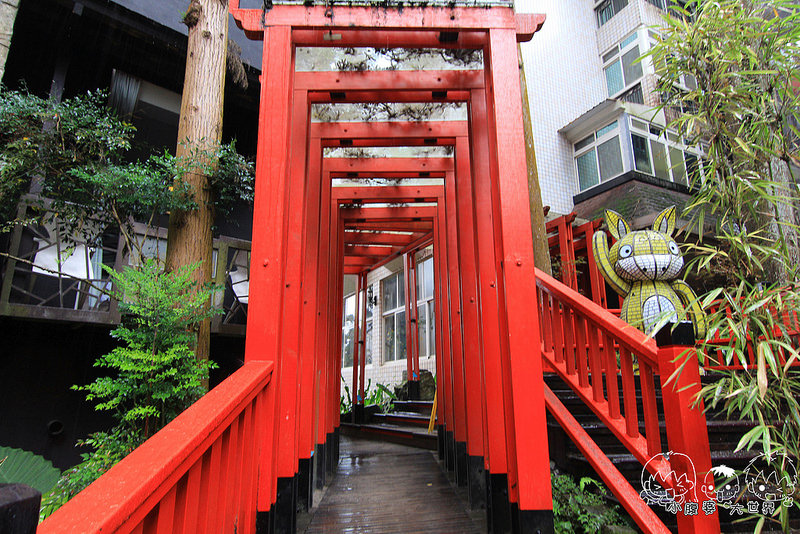 溪頭一日遊6 062