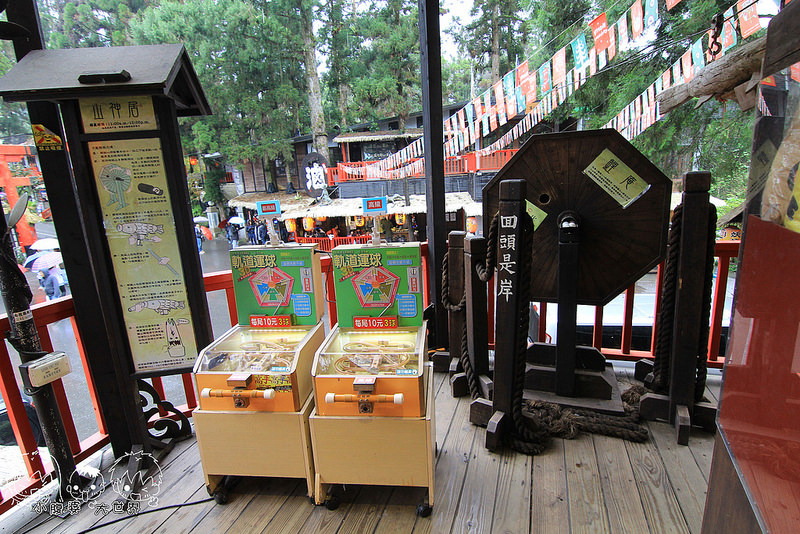 溪頭一日遊2.1 033