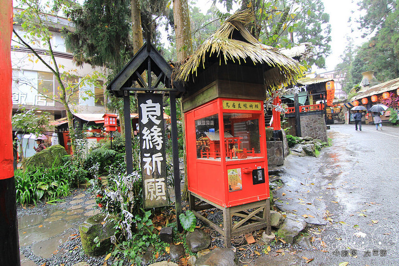 溪頭一日遊6 023