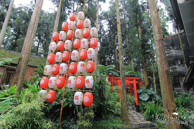 溪頭一日遊6 064