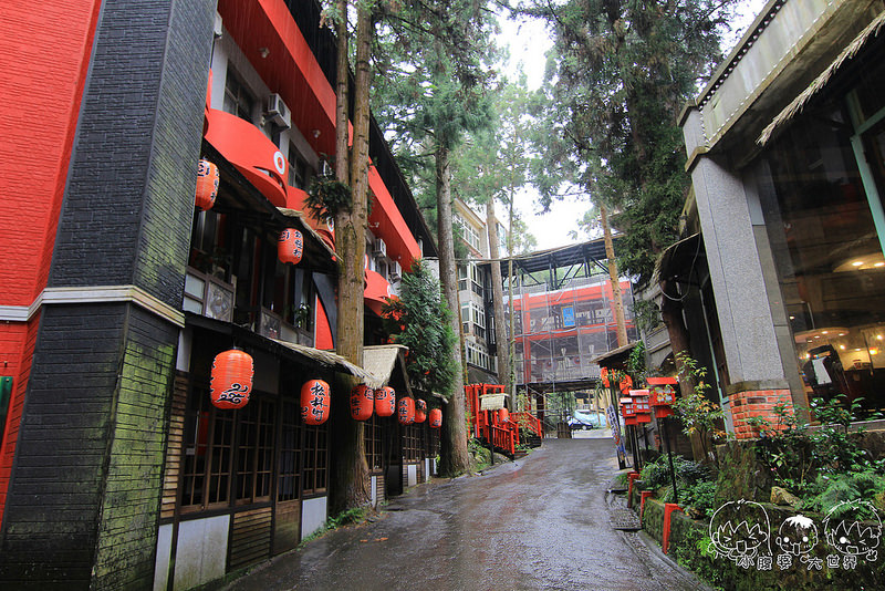 溪頭一日遊6 059