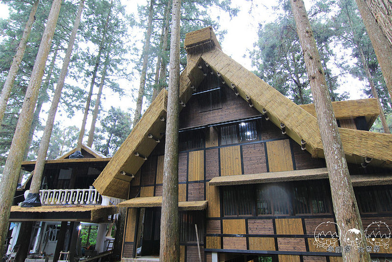 溪頭一日遊6 075