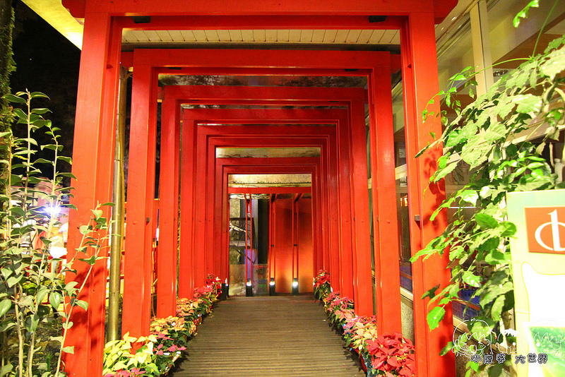 溪頭一日遊4 002