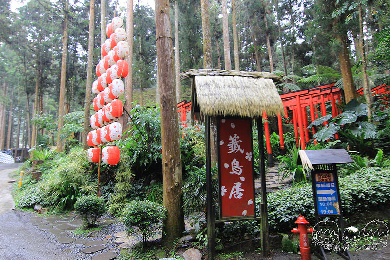 溪頭一日遊6 063
